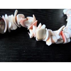 Natural Sea shell Pendant