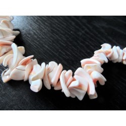 Natural Sea shell Pendant