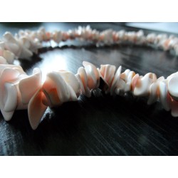 Natural Sea shell Pendant