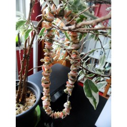 Handmade sea shell gift for mom