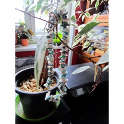 Unique Handmade Jewelry